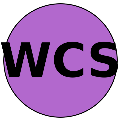 WiseCareer Solutions